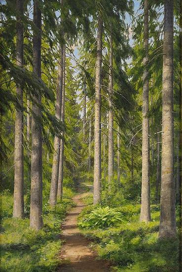 Sunlit forest path, johan krouthen